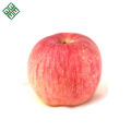 chinese red fuji apple fresh apple from shandong china